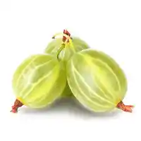 karusmari3