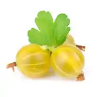 karusmari2