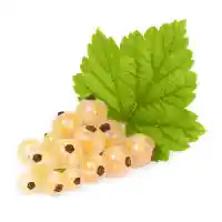 sõstar1
