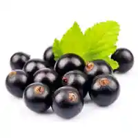sõstar5