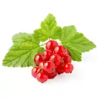sõstar3